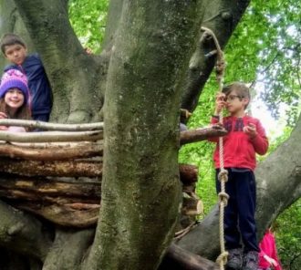 Children at forest school sitting in a treehouse